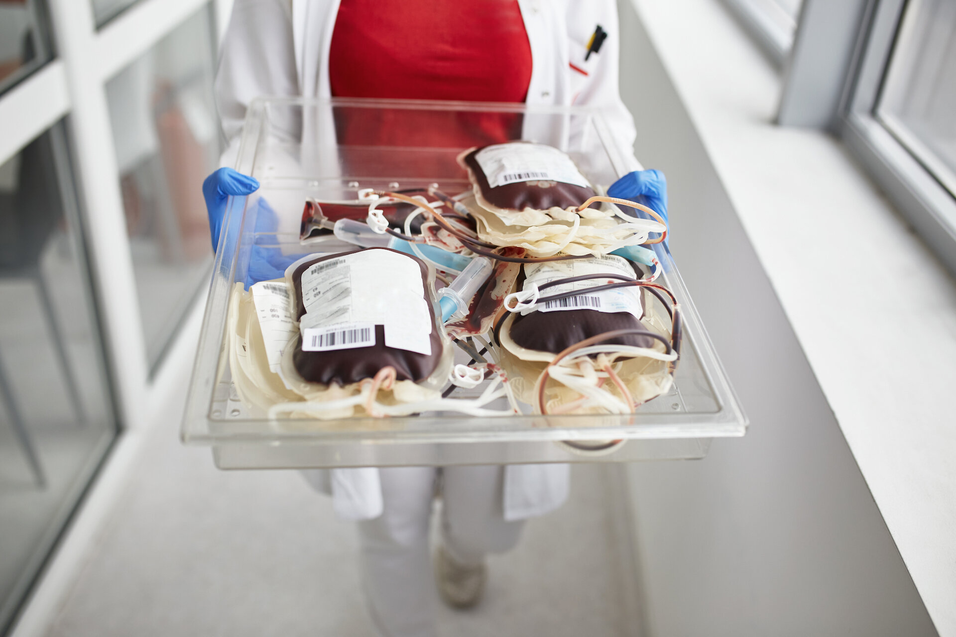 New model points to solution to global blood shortage