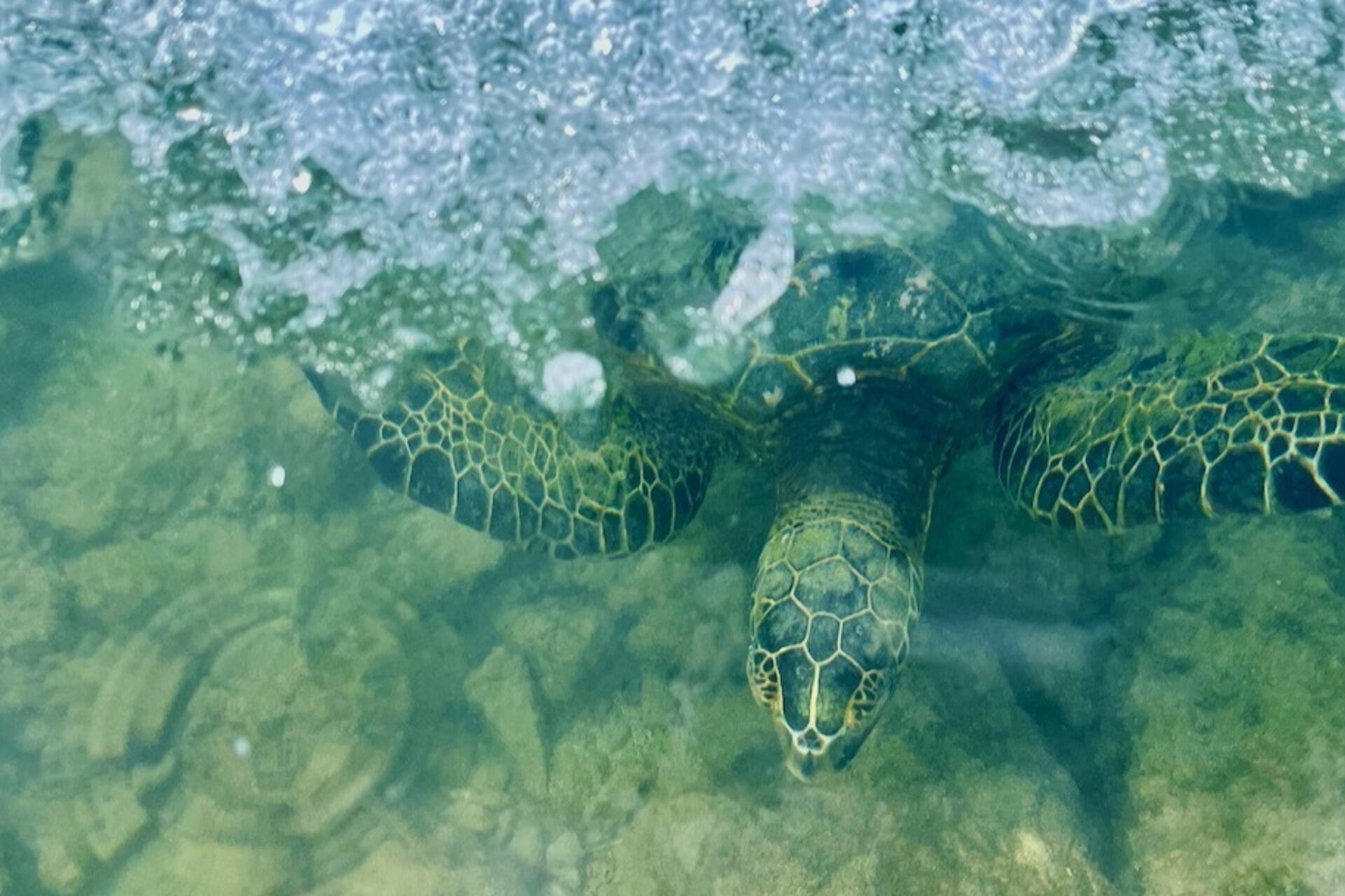 Images capture a year of exploration despite uncertainty